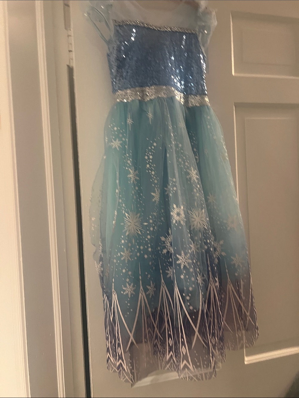 Girls Ice Princess Blue Snowflake Costume Dress